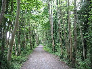 <span class="mw-page-title-main">Lôn Las Ogwen</span> Cycle route in Wales