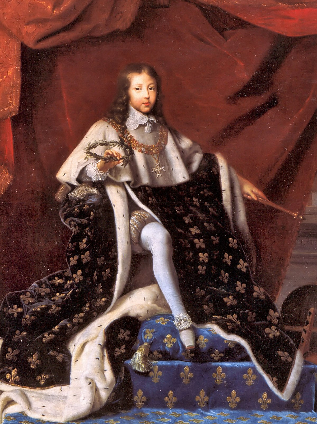 Gearhomie Louis XIV of France in Coronation Robes Costume All Over Pri –