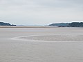 Low tide on the River Severn - looking back to Lydney Harbour and Sharpness - June 2016 - panoramio.jpg