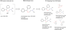 Wikipedia on the CompTox Chemicals Dashboard: Connecting Resources