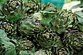 File:Maltese artichoke.jpg