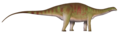 Maraapunisaurus
