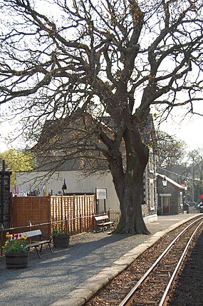Minffordd - Ffestiniog Railway Station.JPG