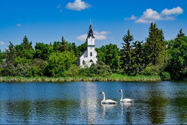 Image: Mirror lake swans