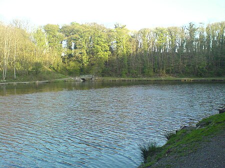 Mossvalley fishing lake