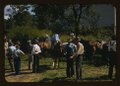 Mountaineers and farmers trading mules and horses on "Jockey St.," near the Court House, Campton, Wolfe County, Ky. LCCN2017877566.tif