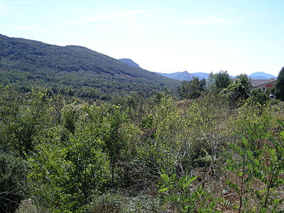 Landscape in Aude, Languedoc-Roussillon