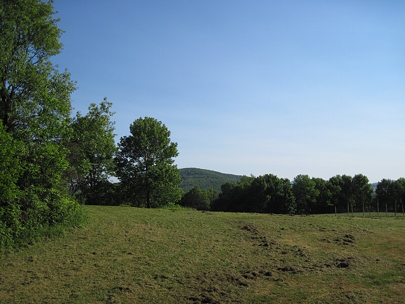 File:Mt. Ararat from Elkview at Independent Lake Camp in Orson, Pennsylvania.JPG