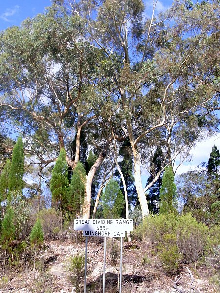 File:Munghorn Gap Nature Reserve Great Dividing Range.JPG