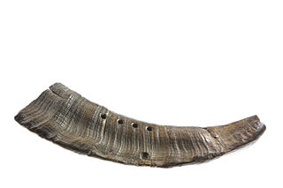 <span class="mw-page-title-main">Bukkehorn</span> Musical instrument made from the horn of a ram or goat