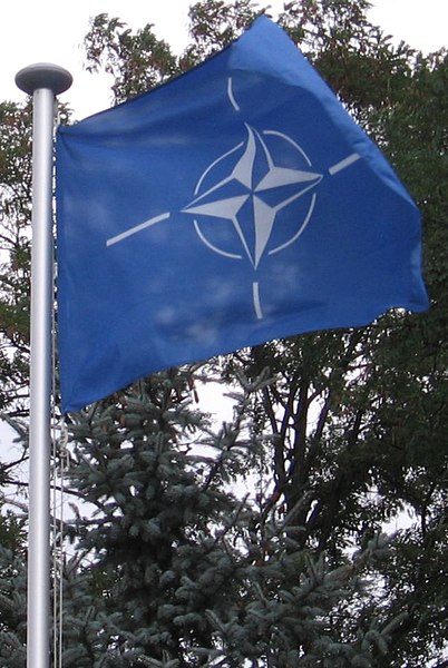File:NATO Flag (1).jpg