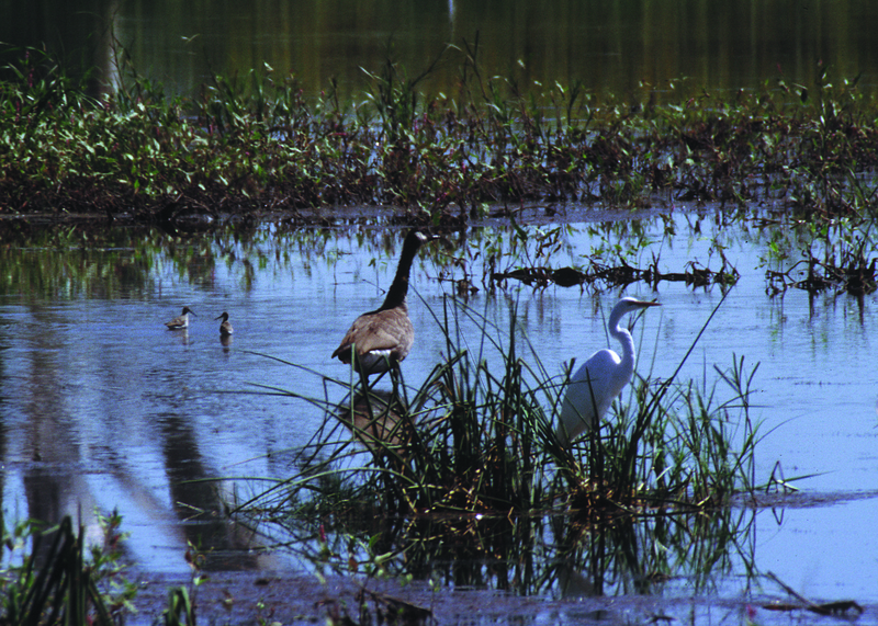 File:NRCSSD03017 - South Dakota (6161)(NRCS Photo Gallery).tif