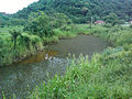 A naitural pond in Rio Grande da Serra