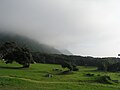 Campground on Niijima