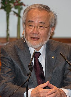 Yoshinori Ohsumi Japanese cell biologist