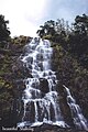 Nongriat Waterfall