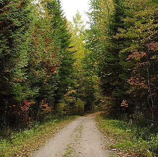 <span class="mw-page-title-main">North Simcoe Railtrail</span>