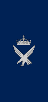 File:Norway-airforce-OR-1a.svg