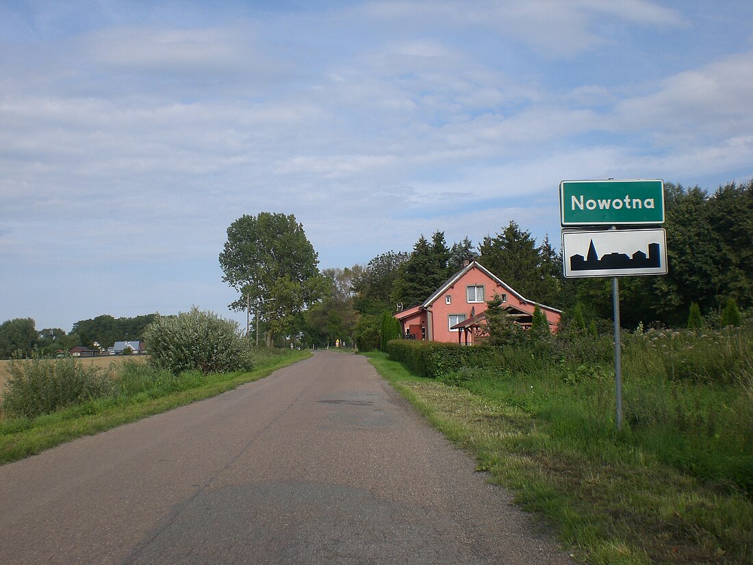 Nowotna