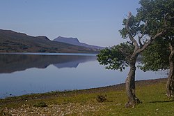 עץ בחזית אגם גדול עם גבעות שמעבר לו