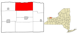 Orleans County New York incorporated and unincorporated areas Carlton highlighted.svg