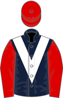 <span class="mw-page-title-main">Chicquita</span> Irish-bred Thoroughbred racehorse