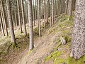 Blick entlang der nordwestlichen Wallkrone nach Nordosten