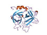 PDB 1si5 EBI.jpg