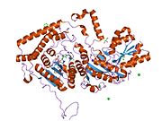 PDB 1v16 EBI.jpg