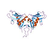 PDB 1ypq EBI.jpg