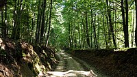 Szczebrzeszyn Landscape Park