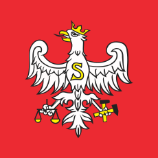 POL Sławków flag.svg