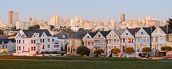 Painted Ladies