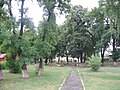 Parcul Gării Ițcani