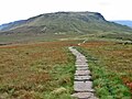 Kinder Scout