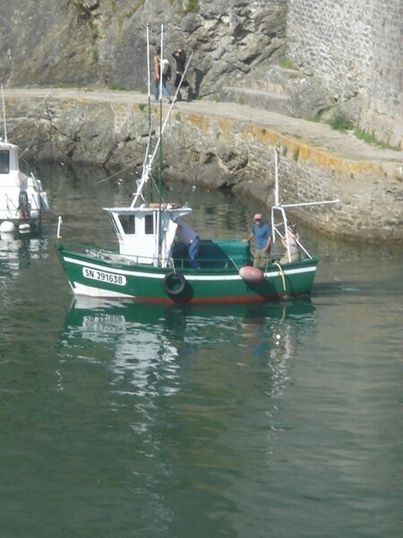 File:Petit chalutier en bois dans le port de Palais.jpg