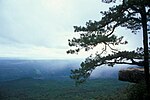 Vignette pour Parc national de Phu Kradung