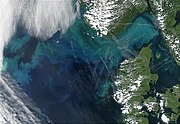 The CLAW hypothesis proposes a feedback loop that operates between ocean ecosystems and the Earth's climate as phytoplankton blooms develop from sulfate aerosols.