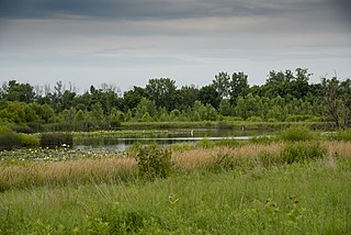 <span class="mw-page-title-main">Pickerington Ponds Metro Park</span> Park and nature preserve in Central Ohio, U.S.