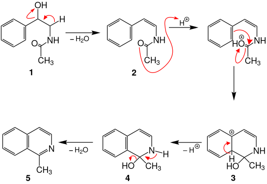 Pictet-Gams-Mechanism.svg