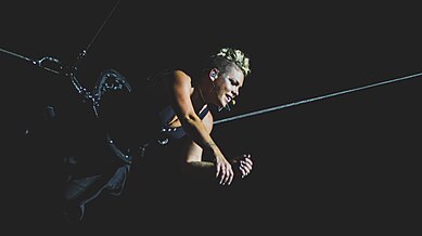 Pink earned her fifth number-one album with Beautiful Trauma, topping for six weeks as the year's second-longest. PinkVFest190817-66.jpg