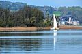 English: Sailing yacht (daysailer) in front of the flower island Deutsch: Segelyacht (Daysailer) vor der Blumeninsel