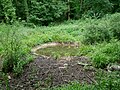 A pond in the woods at Scadbury Park, possibly marking a Second World War bomb crater.