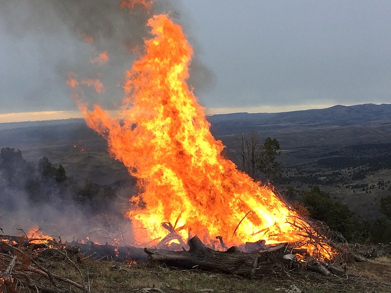 File:Prescribed burning during eastern Oregon snowfall! (30969028980).jpg