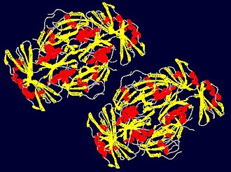 Prp 24 RRM 3 Prp24 domain 3.jpg