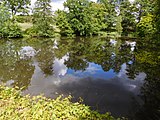 Průhonice - Dendrologická zahrada, rybník Čerňáček