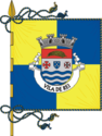 Vila de Rei - Drapeau