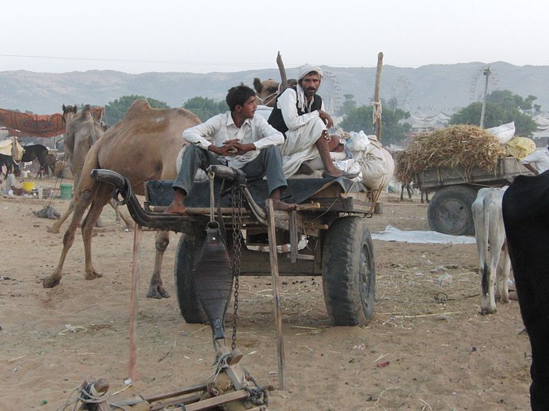 File:Pushkar.- Le marché aux chameaux (4).jpg