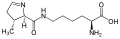 L-pirolizină (Pyl / O)