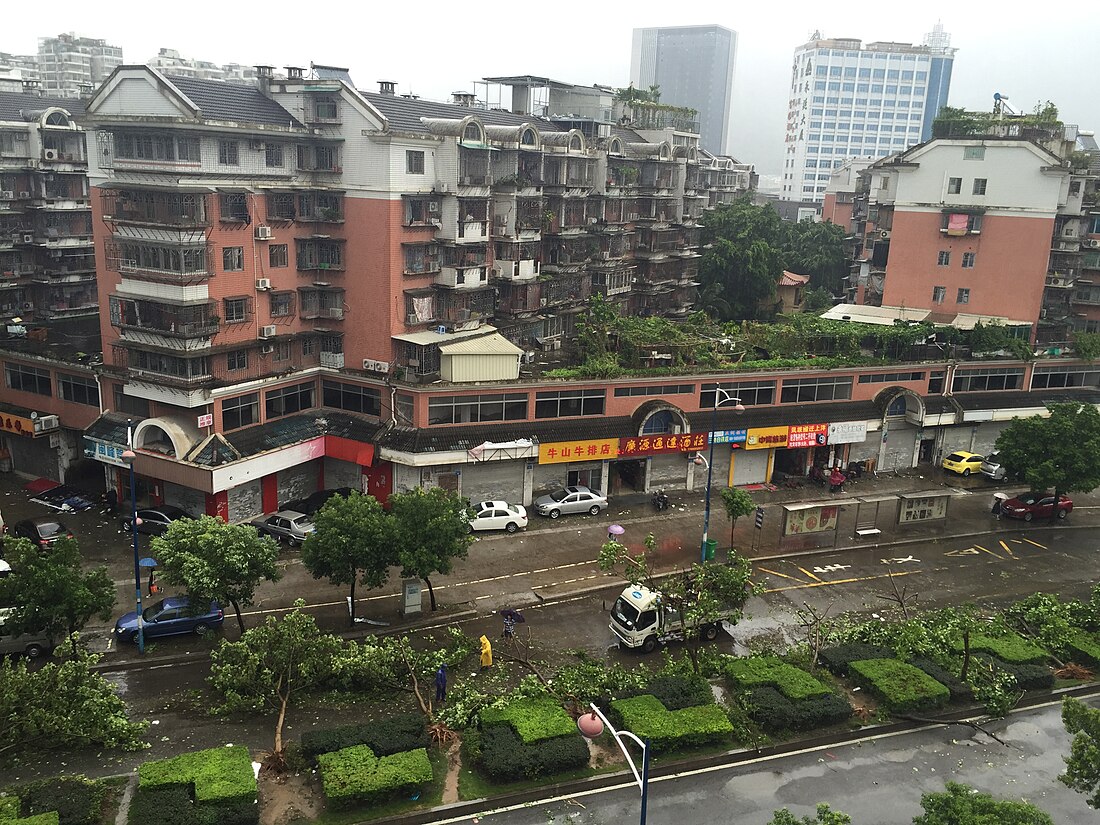 File:Qianyu East Rd after typhoon (20150809083337).JPG